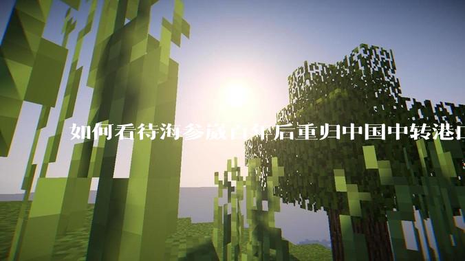 如何看待海参崴百年后重归中国中转港口?